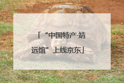 “中国特产·靖远馆”上线京东